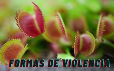 Las Personas Pasivo Agresivas: Qué Son y Cómo Actúan
